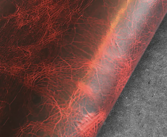 Badalassi Carlo Waxy Burgundy leather swatch